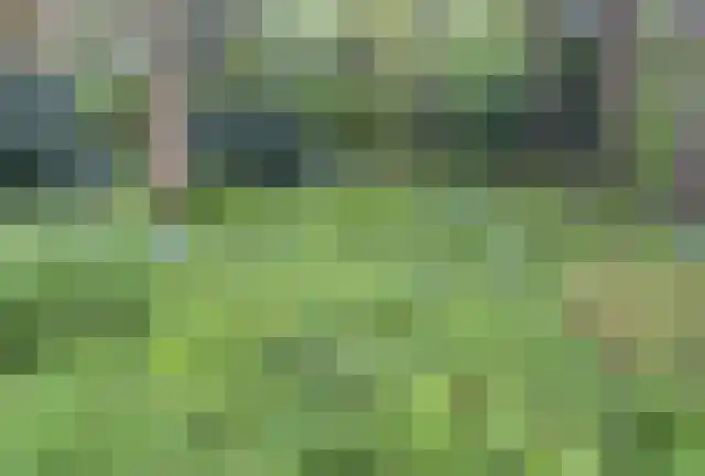 Tullekenweg 12 Eerbeek thumbnail 61