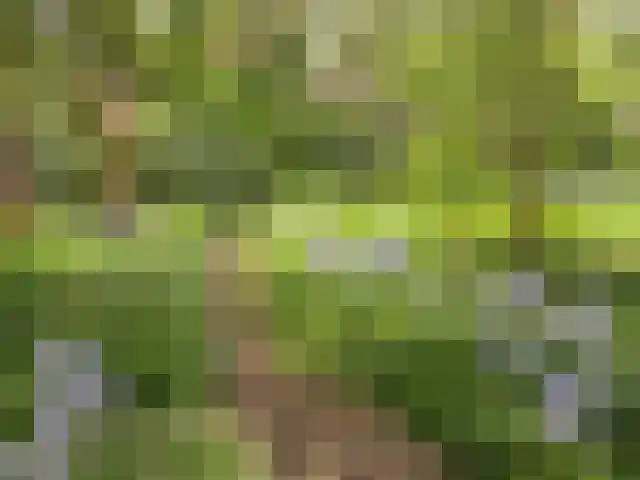 Tullekenweg 12 Eerbeek thumbnail 62