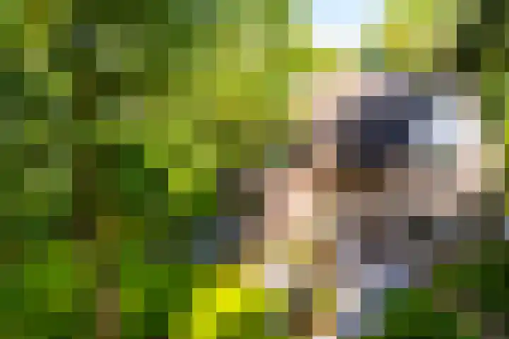 Tullekenweg 12 Eerbeek thumbnail 63