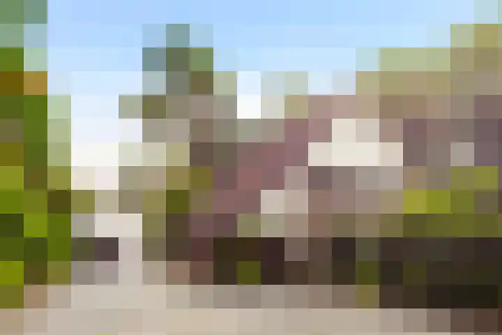 Tullekenweg 12 Eerbeek thumbnail 64