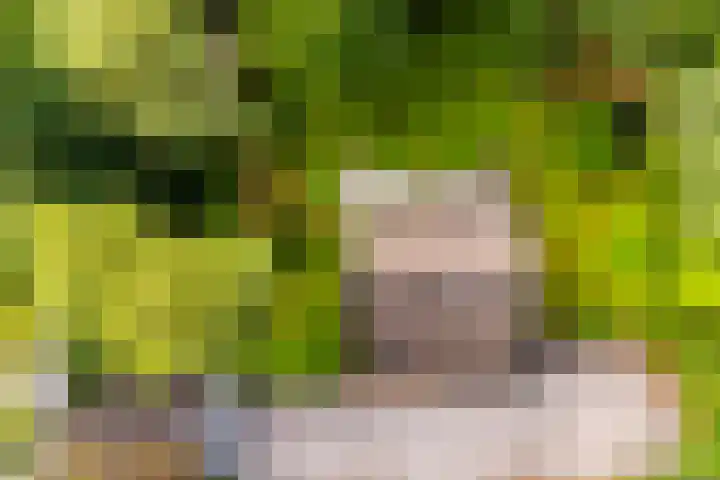 Tullekenweg 12 Eerbeek thumbnail 65