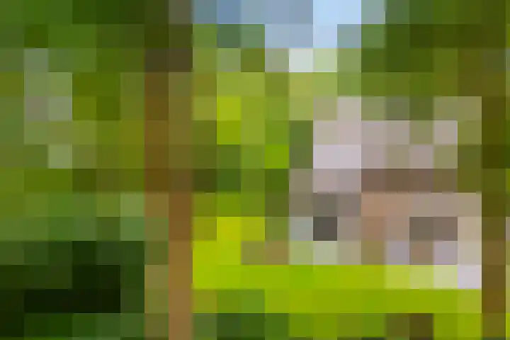 Tullekenweg 12 Eerbeek thumbnail 66