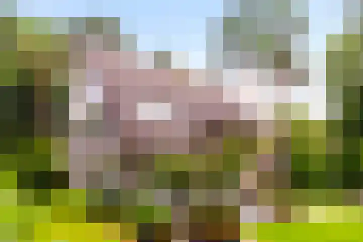 Tullekenweg 12 Eerbeek thumbnail 67
