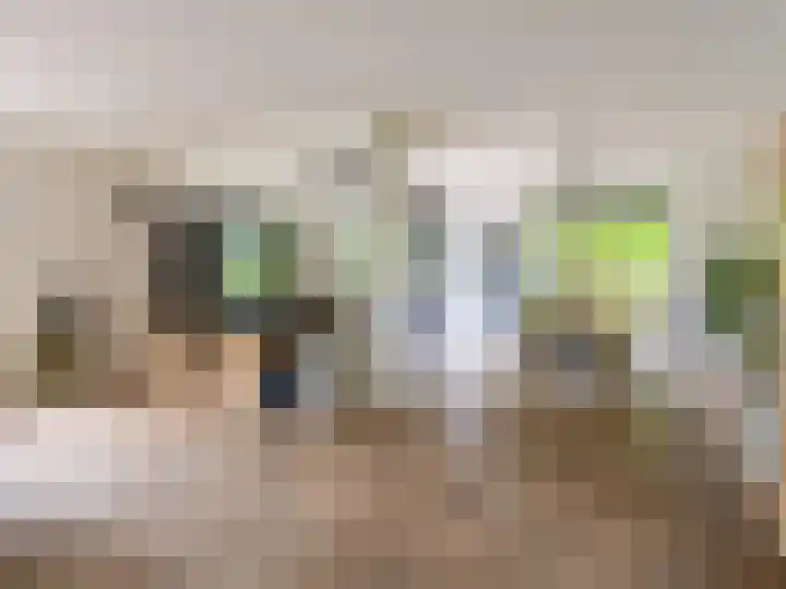Tullekenweg 16 Eerbeek thumbnail 10