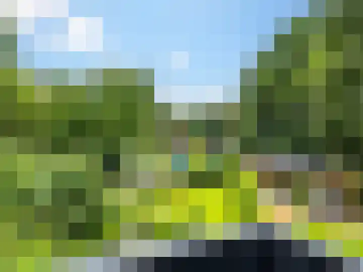Tullekenweg 16 Eerbeek thumbnail 25
