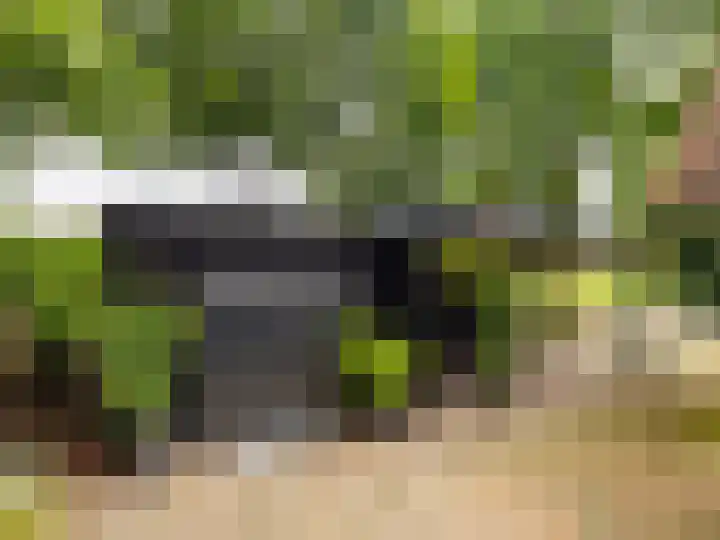 Tullekenweg 16 Eerbeek thumbnail 33