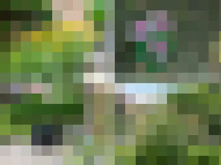 Tullekenweg 16 Eerbeek thumbnail 35