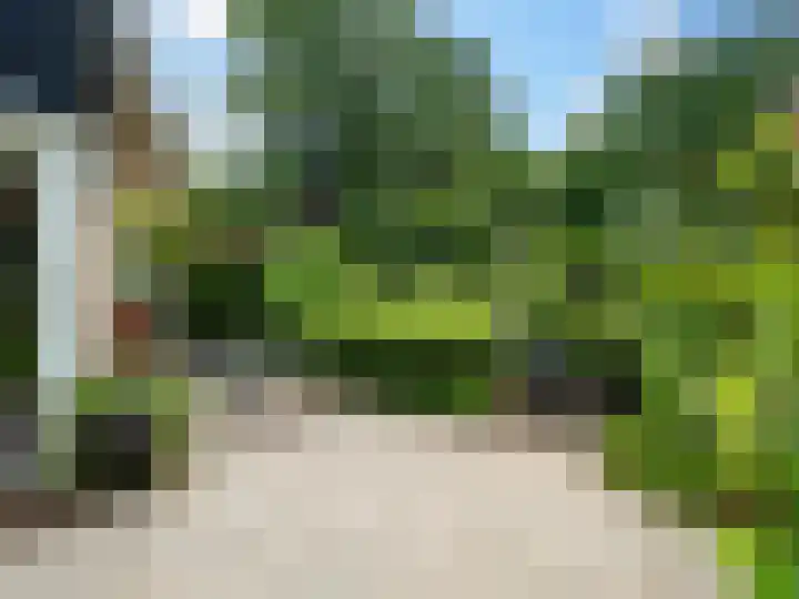 Tullekenweg 16 Eerbeek thumbnail 36