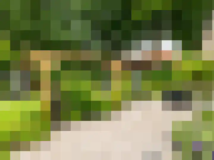 Tullekenweg 16 Eerbeek thumbnail 37