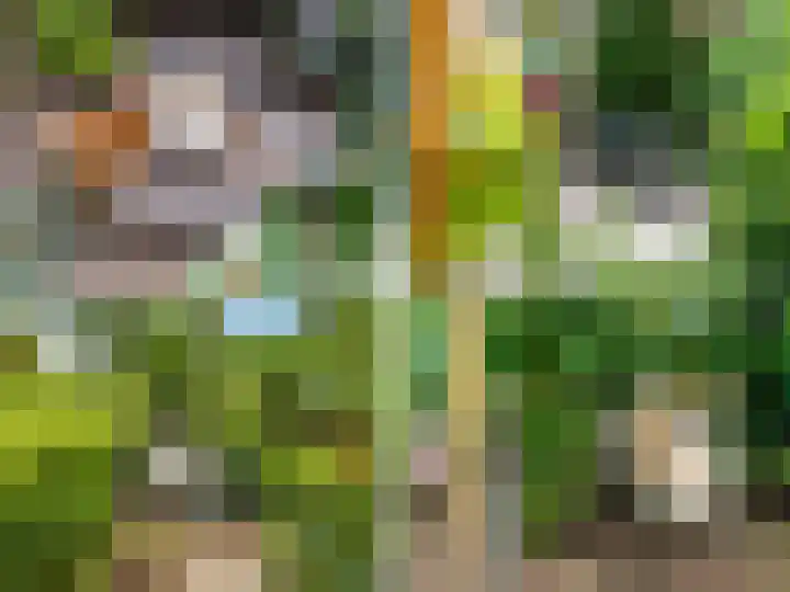 Tullekenweg 16 Eerbeek thumbnail 38