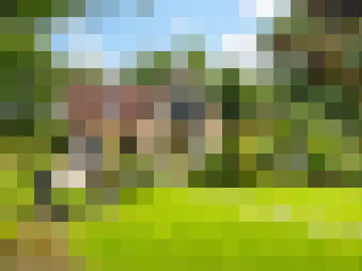 Tullekenweg 16 Eerbeek thumbnail 39