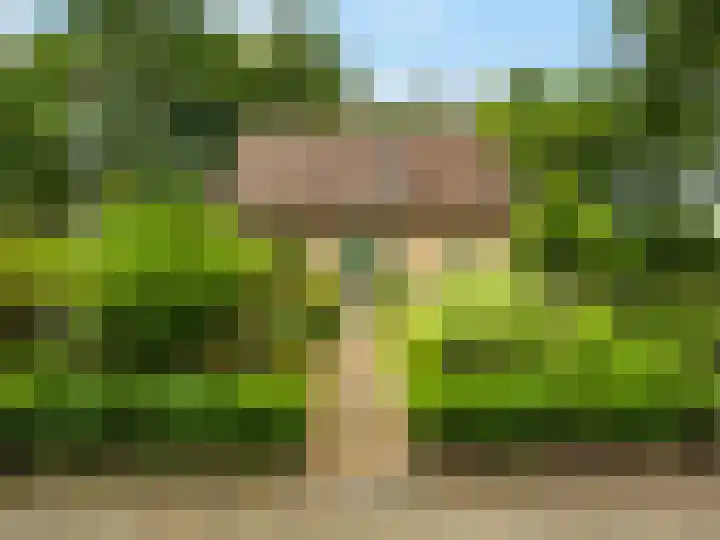 Tullekenweg 16 Eerbeek thumbnail 4