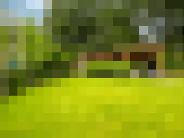 Tullekenweg 16 Eerbeek thumbnail 41