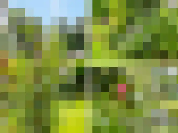 Tullekenweg 16 Eerbeek thumbnail 42