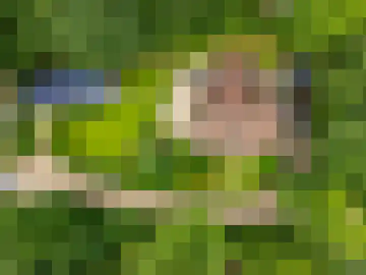 Tullekenweg 16 Eerbeek thumbnail 50