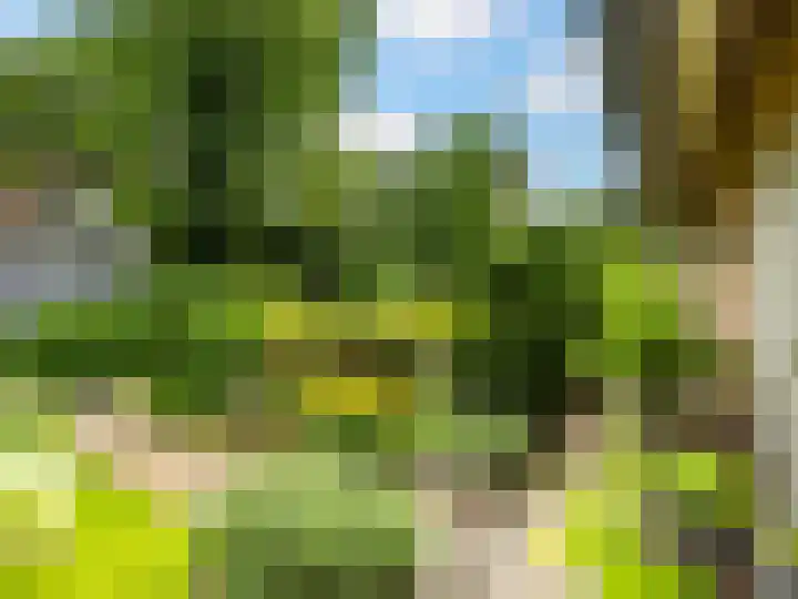 Tullekenweg 16 Eerbeek thumbnail 53