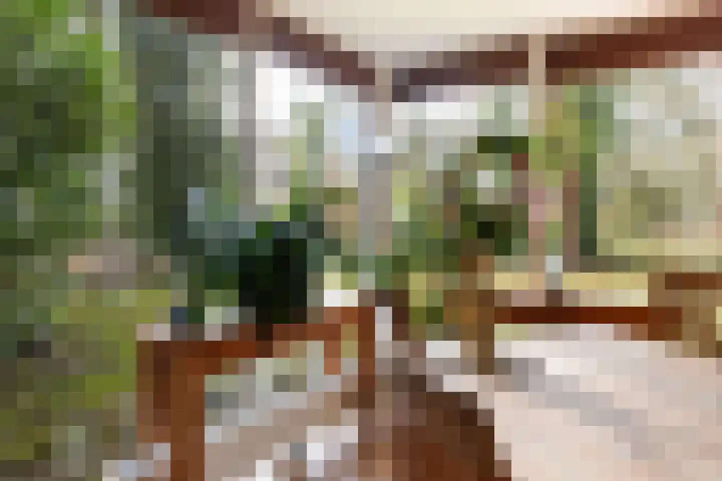 Tullekenweg 22 Eerbeek thumbnail 14