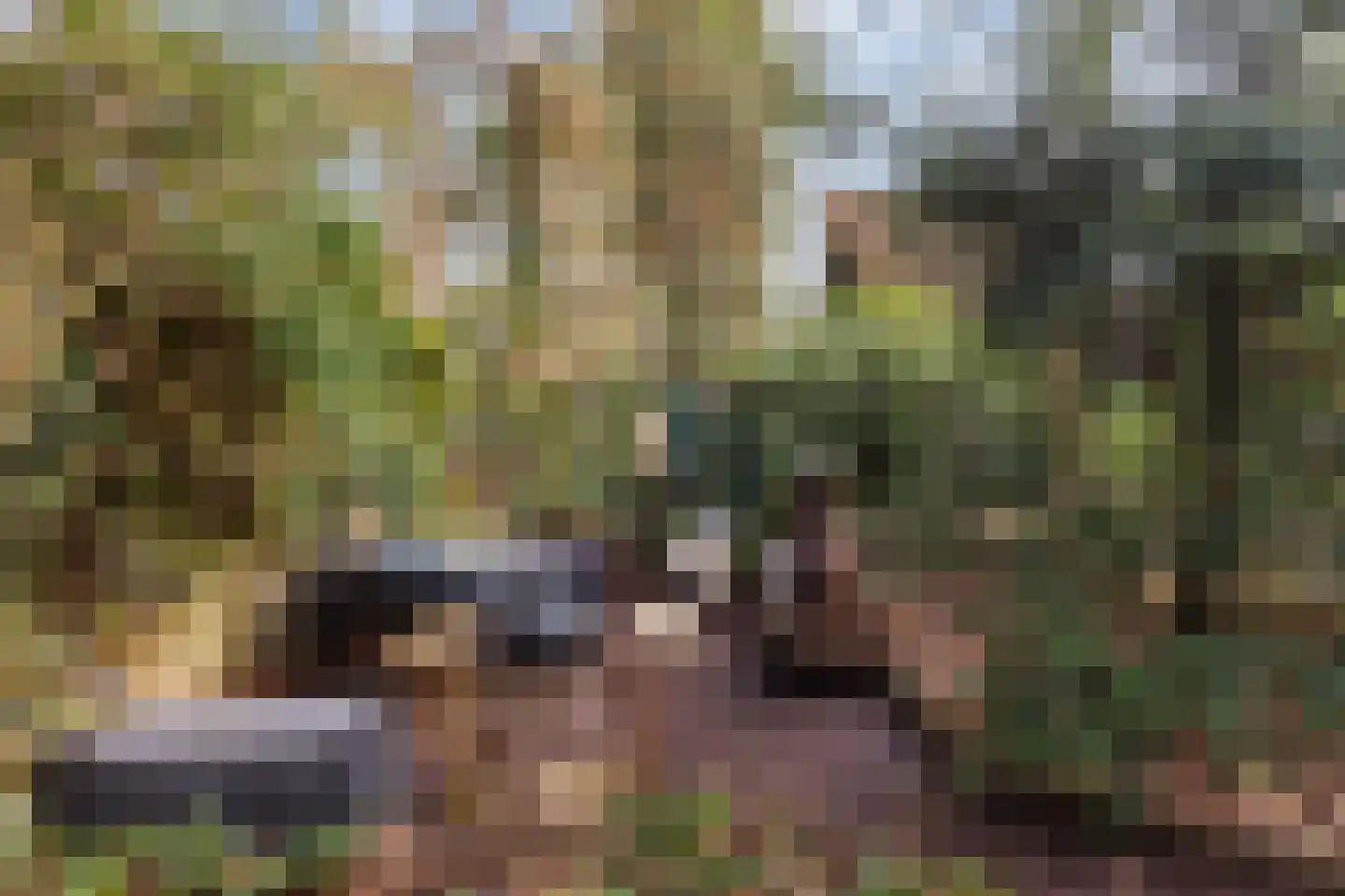 Tullekenweg 22 Eerbeek thumbnail 32