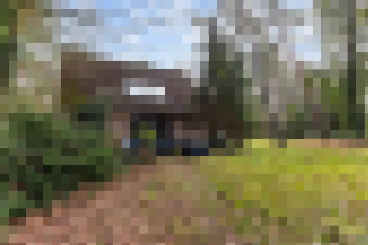 Tullekenweg 22 Eerbeek thumbnail 34