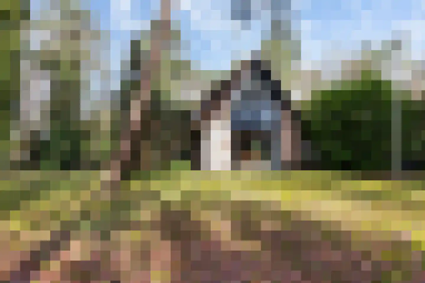 Tullekenweg 22 Eerbeek thumbnail 35
