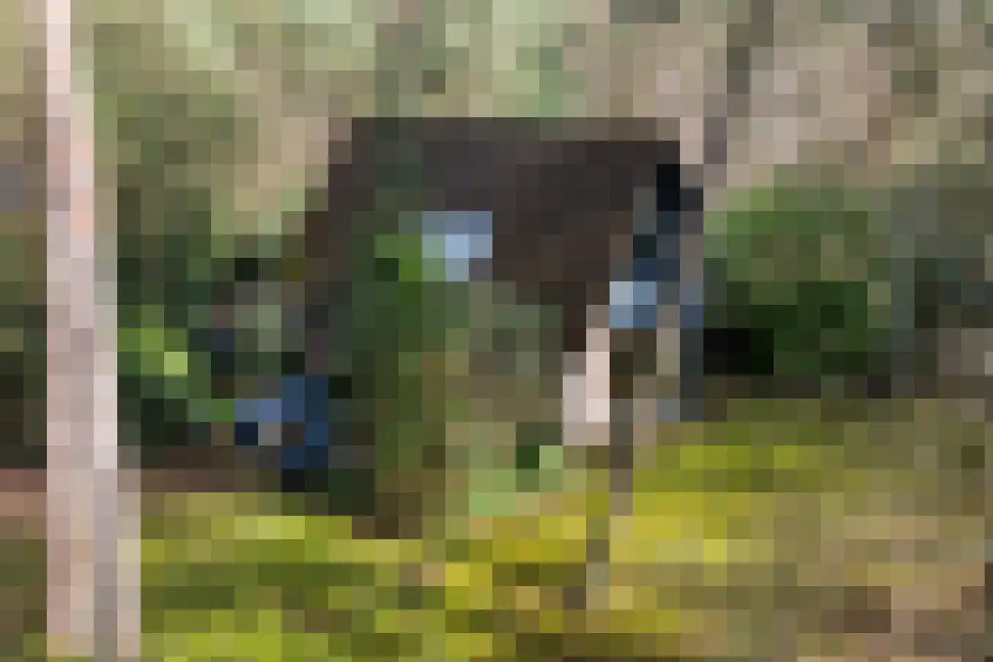 Tullekenweg 22 Eerbeek thumbnail 36