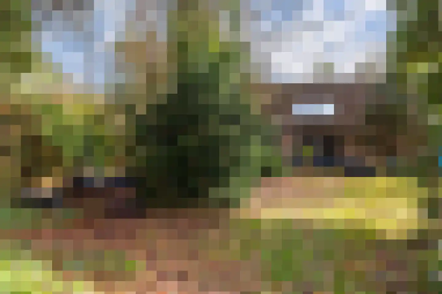 Tullekenweg 22 Eerbeek thumbnail 37