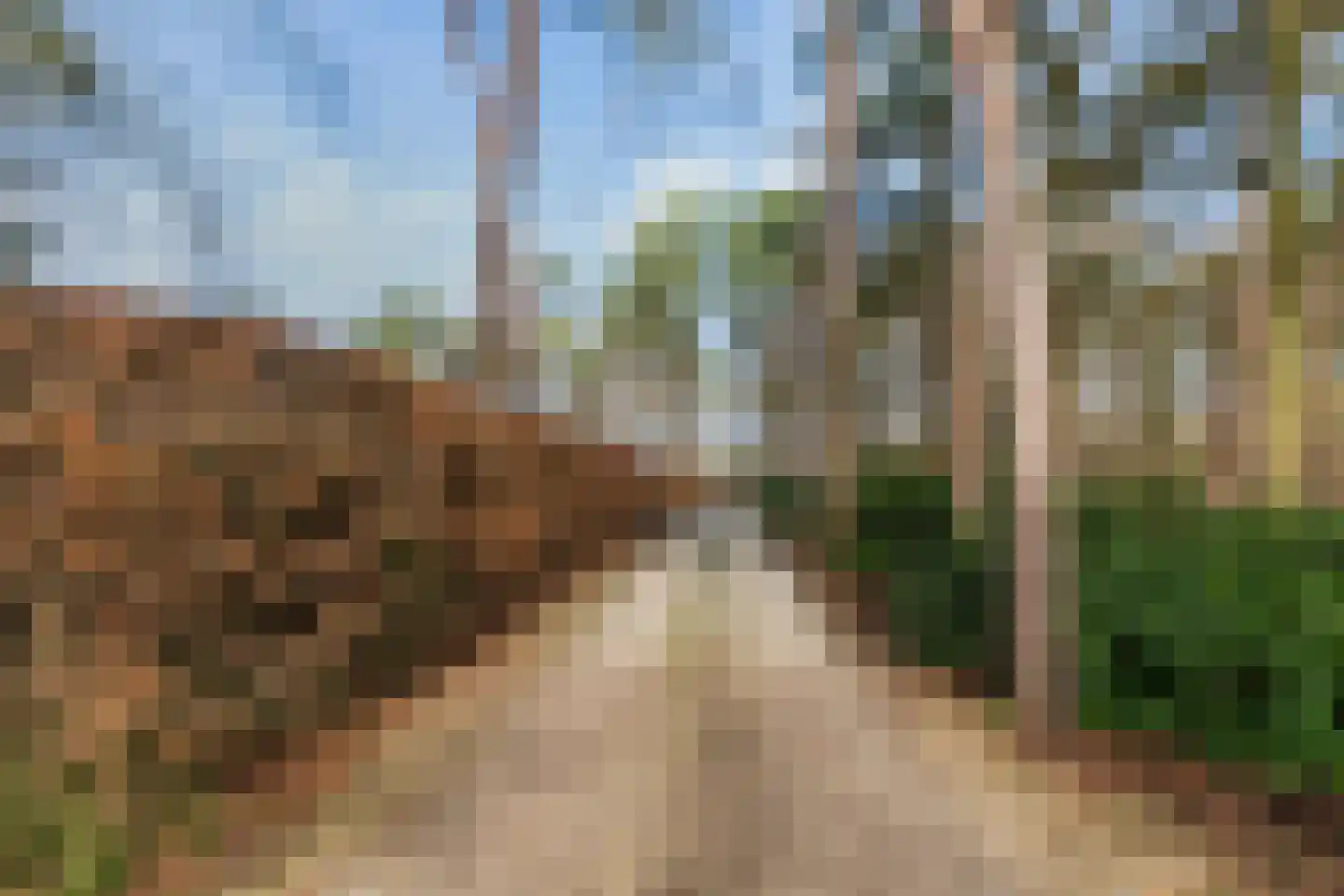 Tullekenweg 22 Eerbeek thumbnail 38