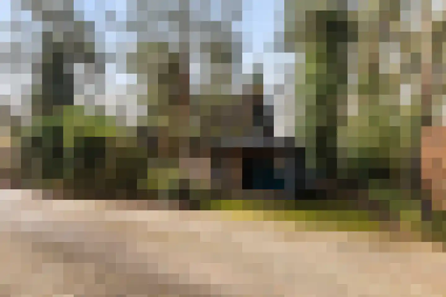 Tullekenweg 22 Eerbeek thumbnail 39