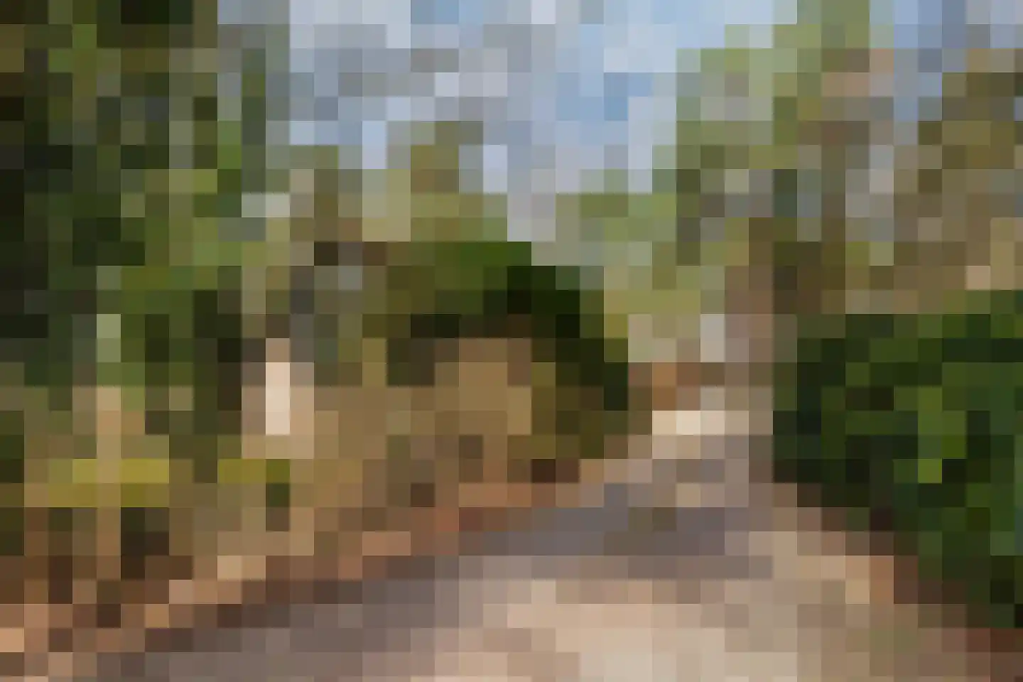 Tullekenweg 22 Eerbeek thumbnail 40