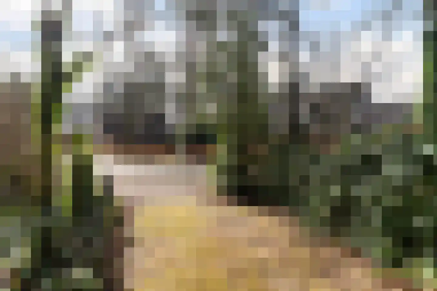 Tullekenweg 22 Eerbeek thumbnail 41
