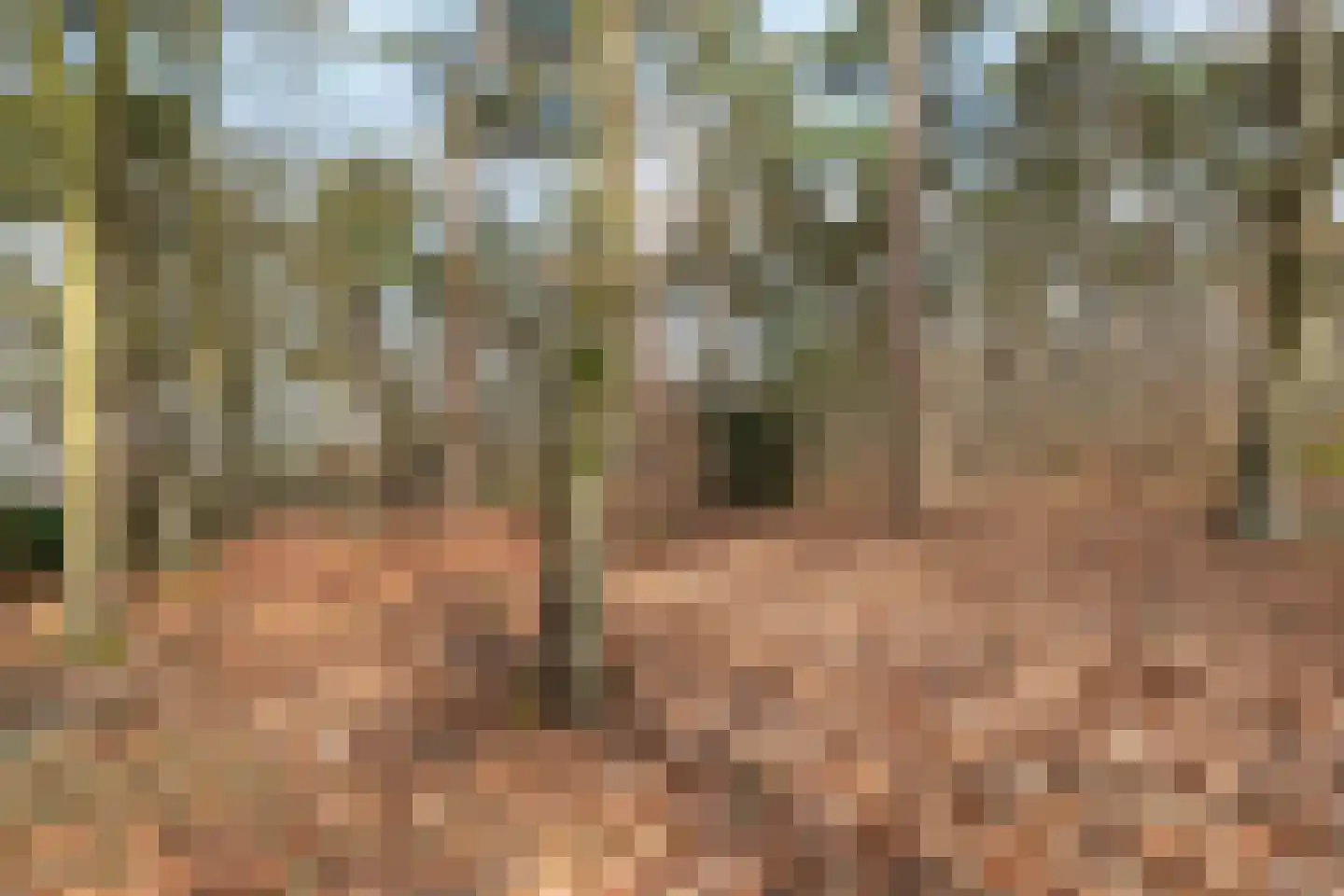 Tullekenweg 22 Eerbeek thumbnail 42