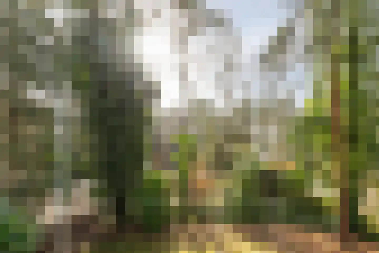 Tullekenweg 22 Eerbeek thumbnail 43