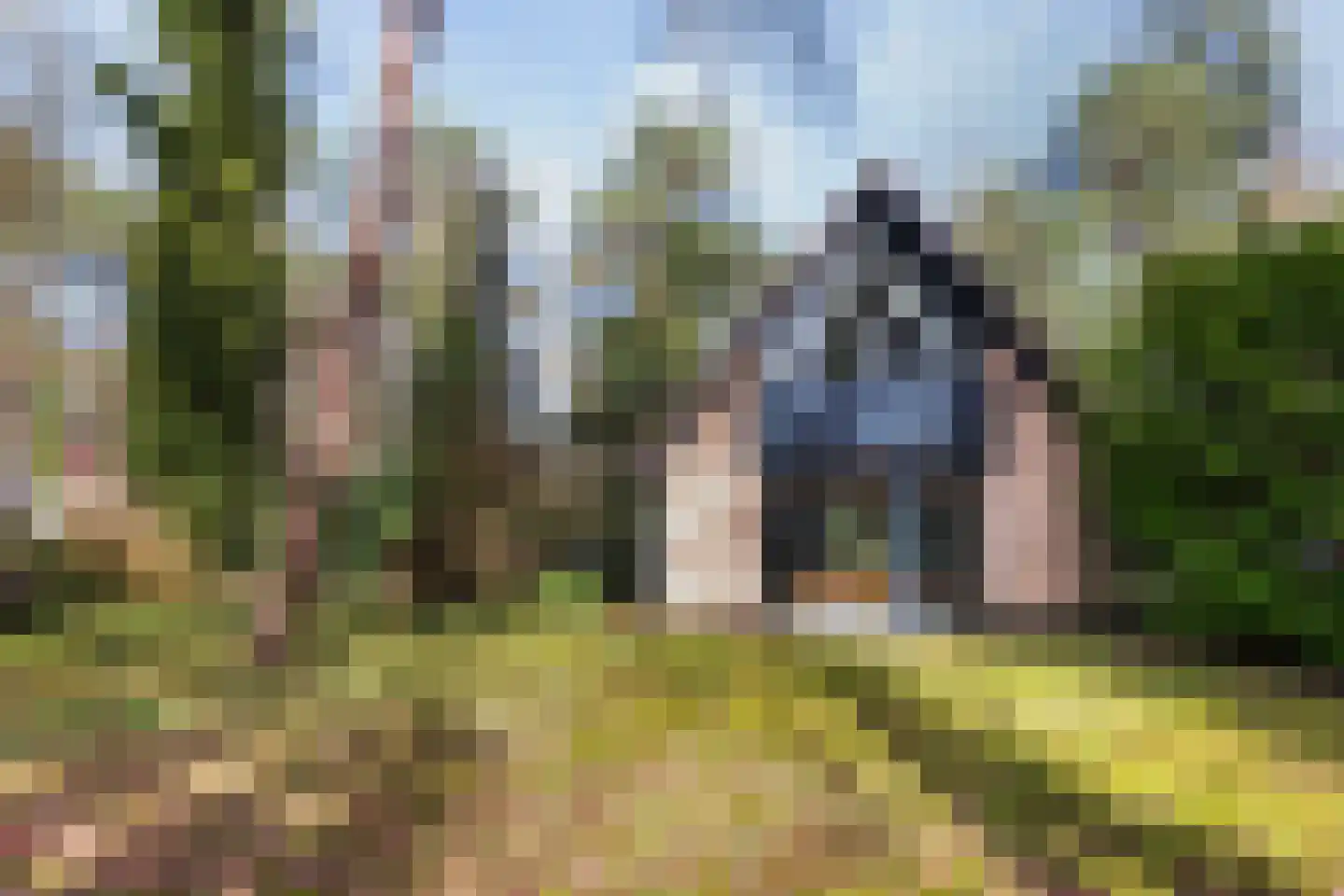 Tullekenweg 22 Eerbeek thumbnail 47