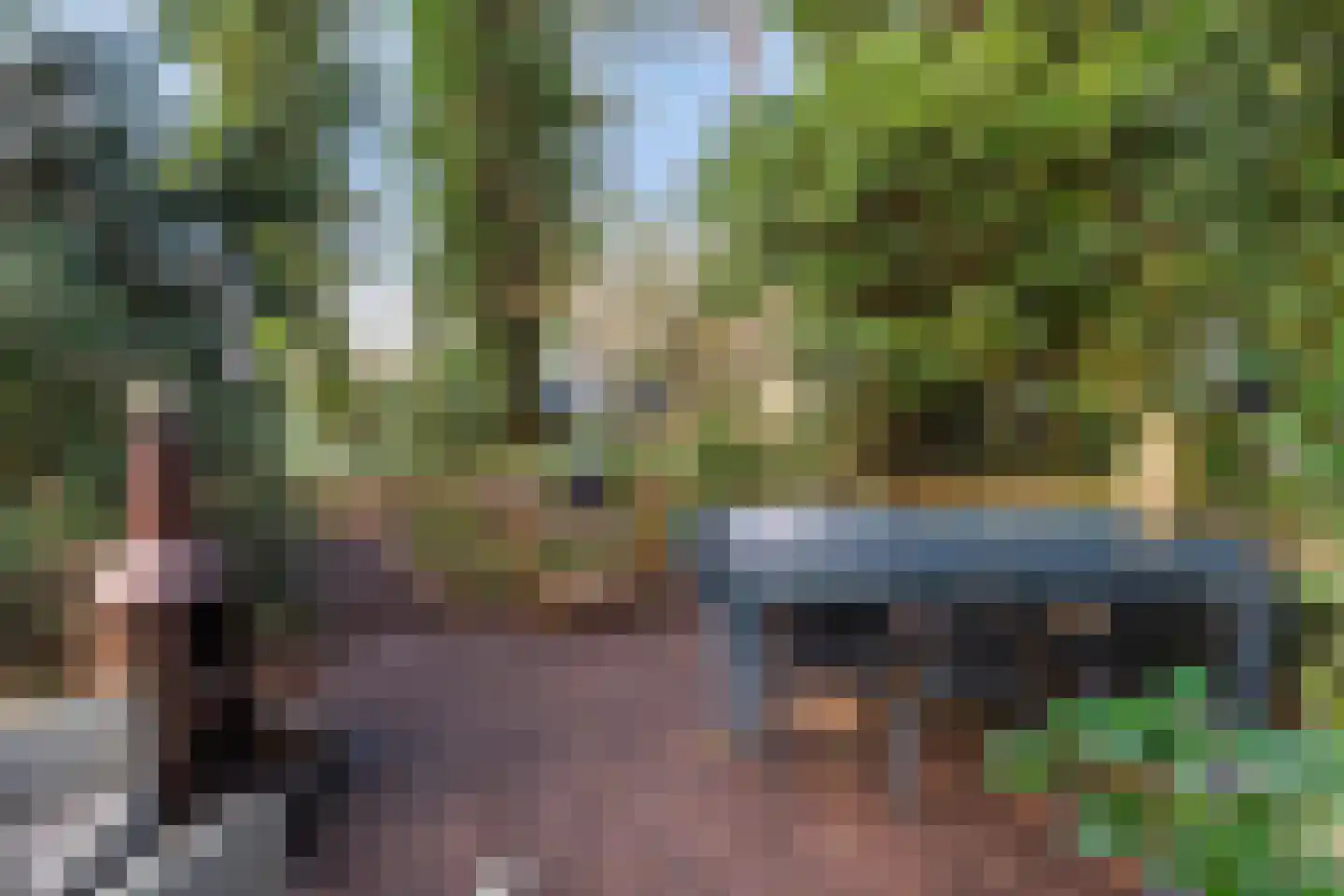 Tullekenweg 22 Eerbeek thumbnail 5