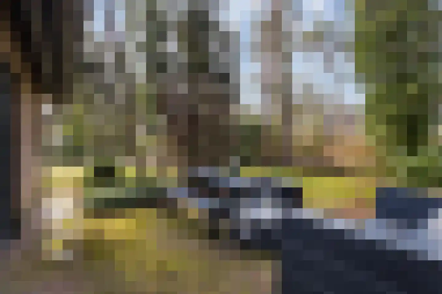 Tullekenweg 22 Eerbeek thumbnail 6