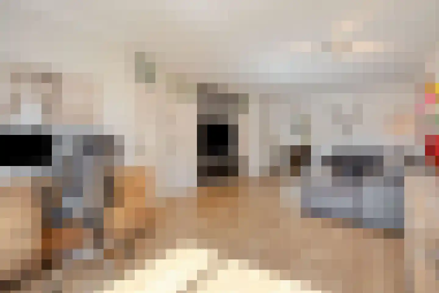 Tullelaan 26 Eindhoven thumbnail 14