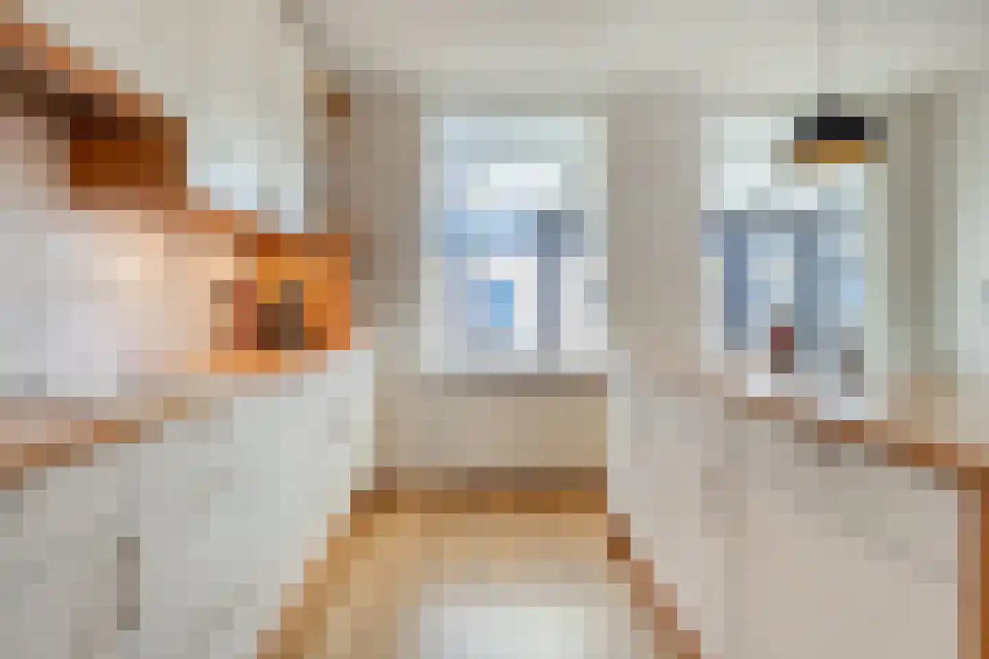 Tullelaan 26 Eindhoven thumbnail 18