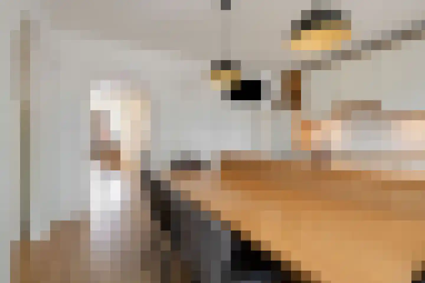 Tullelaan 26 Eindhoven thumbnail 19