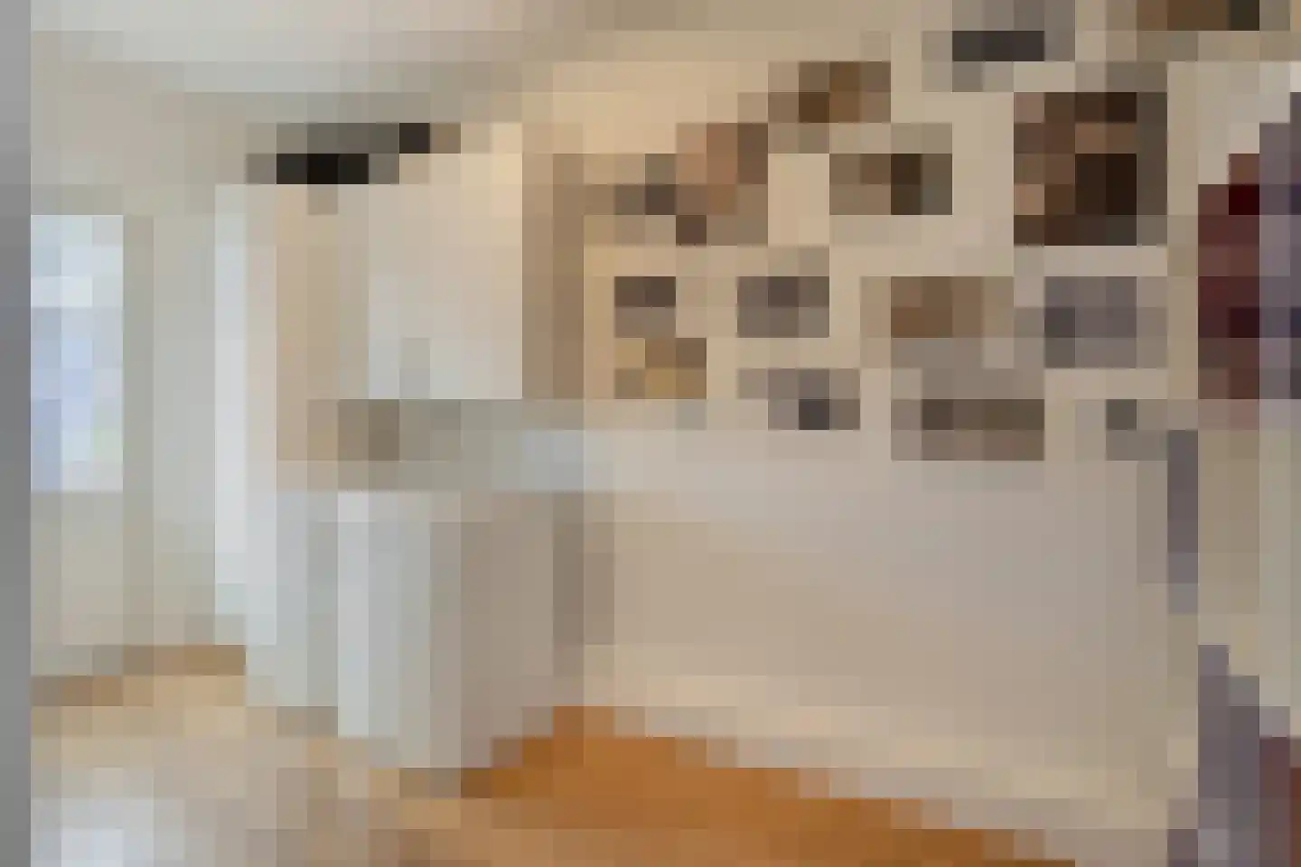 Tullelaan 26 Eindhoven thumbnail 22