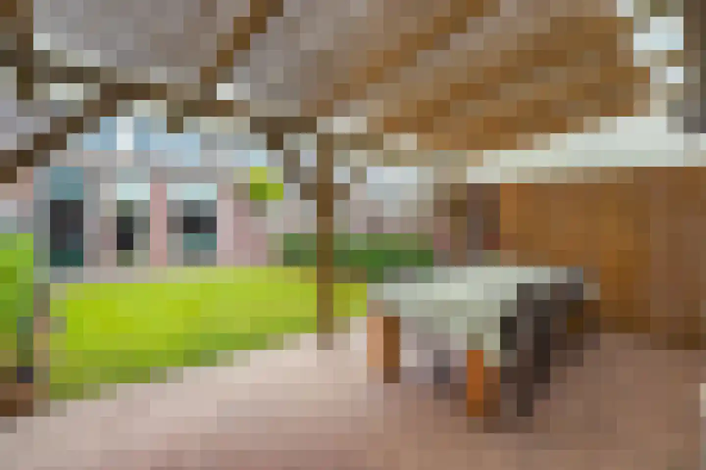 Tullelaan 8 Eindhoven thumbnail 19