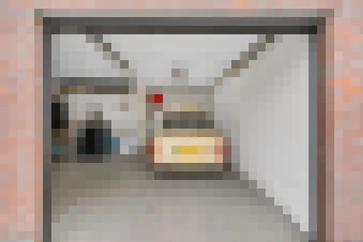 Tullelaan 8 Eindhoven thumbnail 23