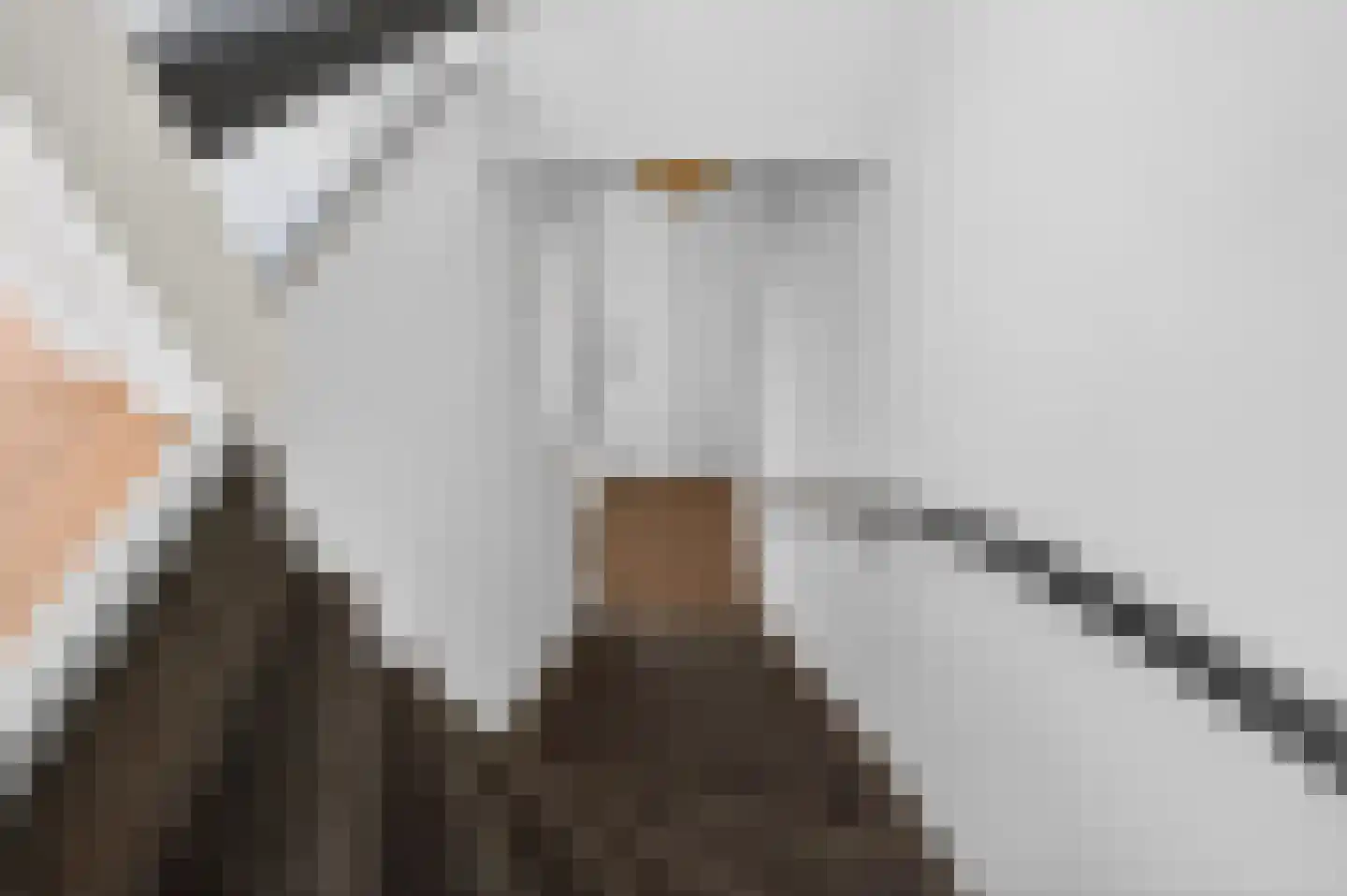 Tullelaan 8 Eindhoven thumbnail 25