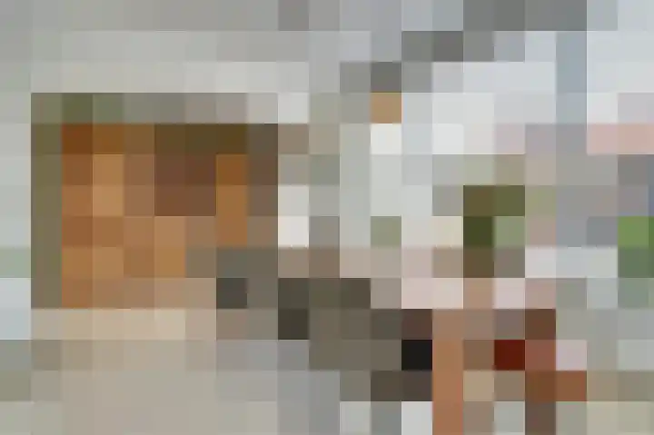 Tullensstraat 31 Oudheusden thumbnail 7