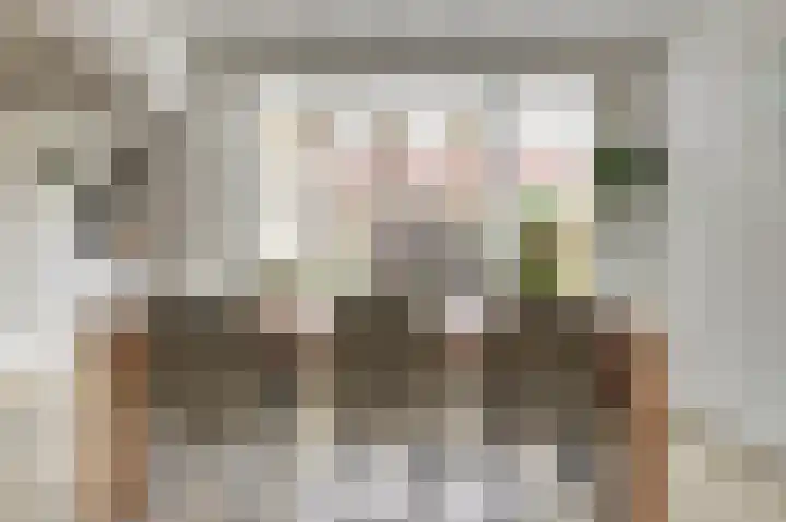 Tullensstraat 31 Oudheusden thumbnail 9