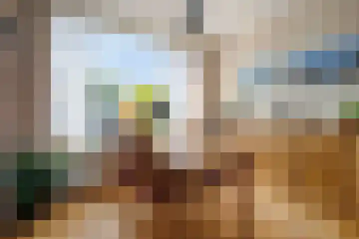 Tullensstraat 33 Oudheusden thumbnail 5