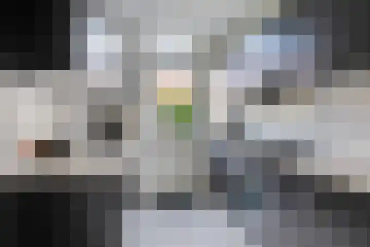 Tullensstraat 33 Oudheusden thumbnail 6
