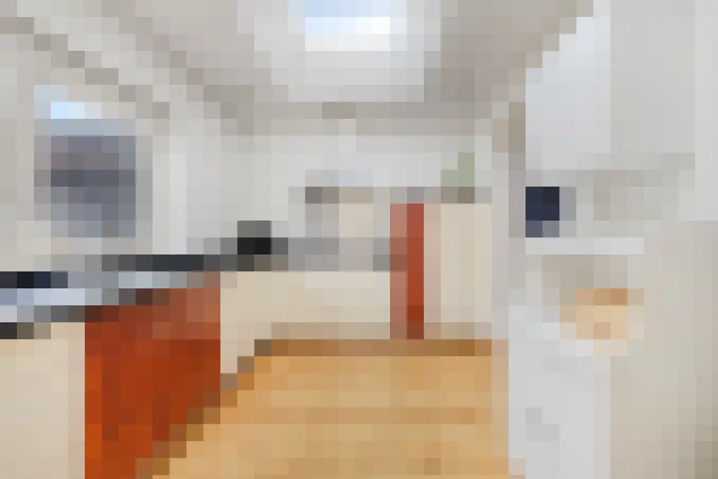 Tullensstraat 49 Oudheusden thumbnail 14