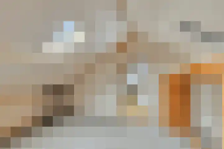 Tullensstraat 49 Oudheusden thumbnail 27