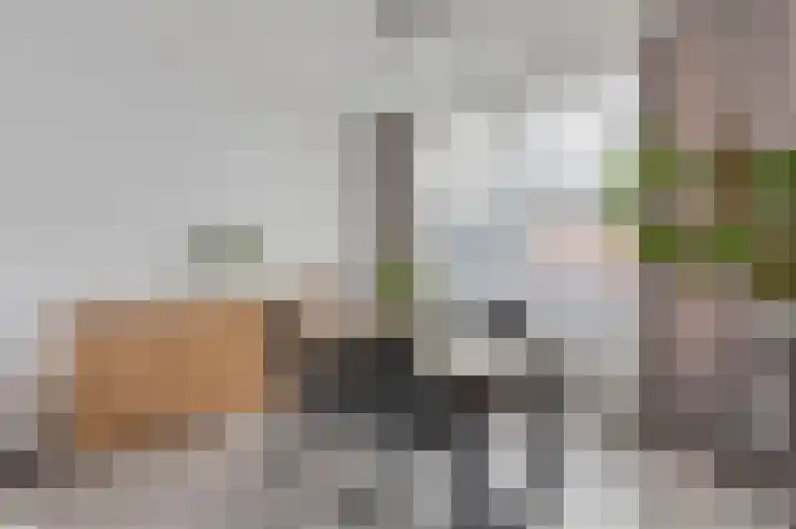 Tullensstraat 53 Oudheusden thumbnail 4