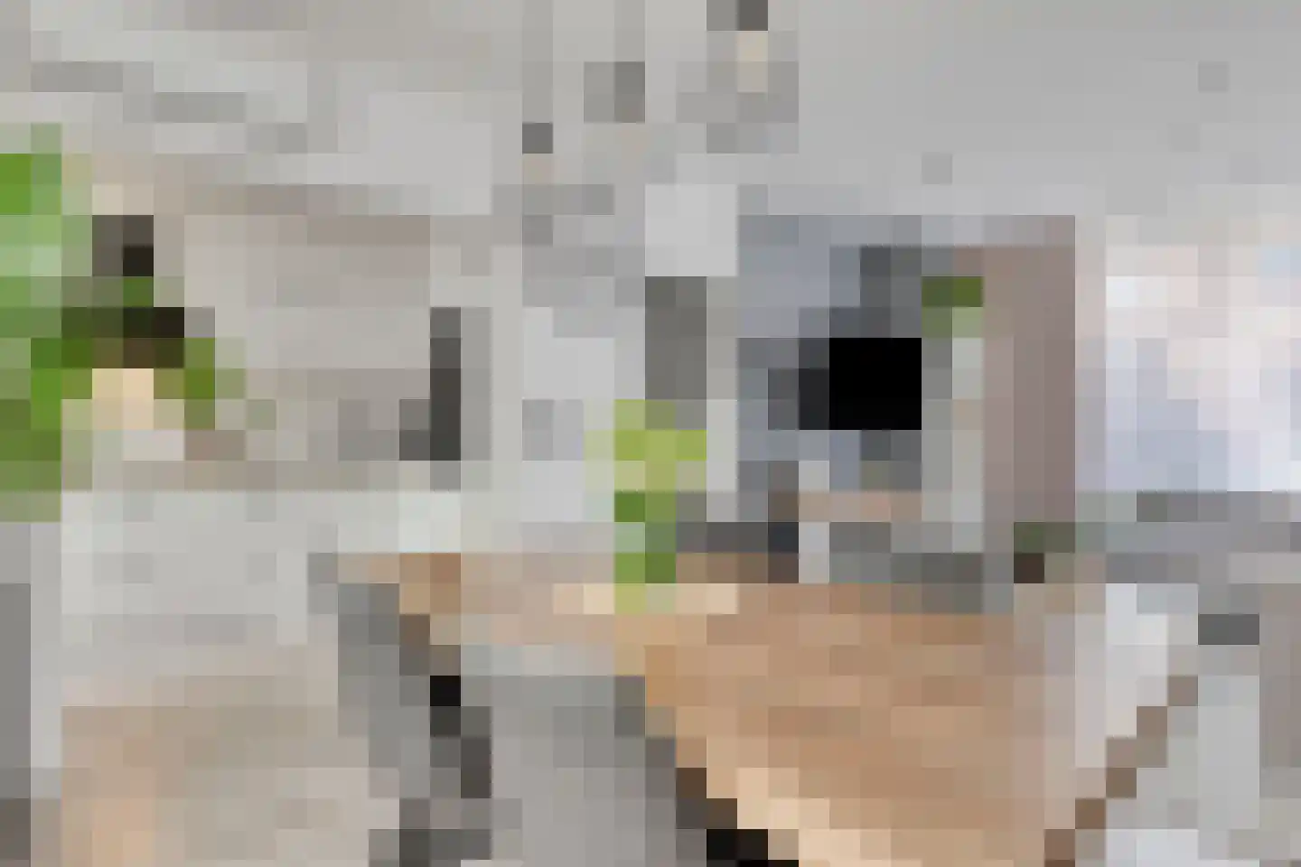 Tullensstraat 53 Oudheusden thumbnail 5